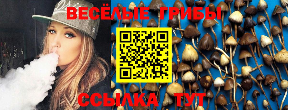 Чернушка  Галлюциногенные грибы прущие грибы  Вход с VPN  Галлюциногенные грибы Magic Shrooms 