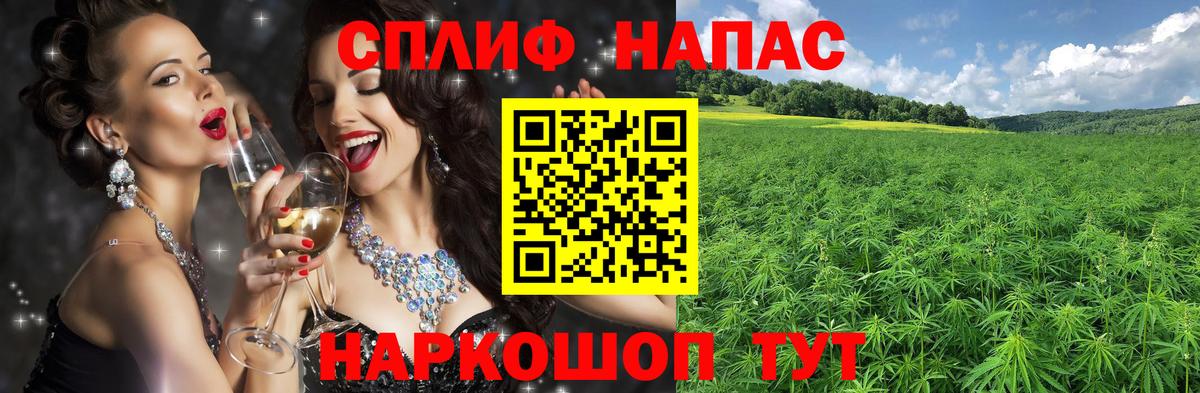 Канабис планчик Чернушка